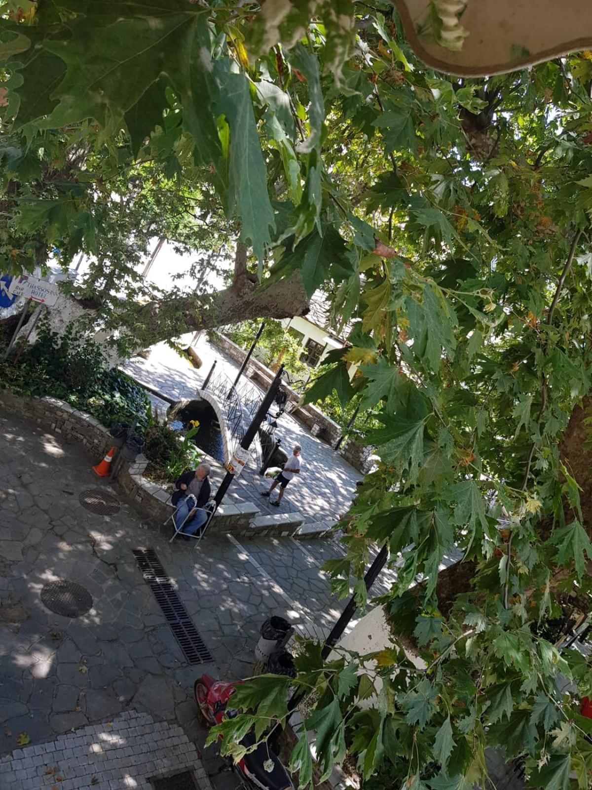Amaya Pine Studio 帕纳基雅 外观 照片